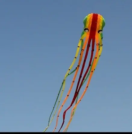 Easy flying large octopus soft kite Size color customizable from the Factory
