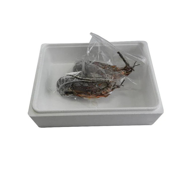 Japan mie prefecture safe and secure fresh raw  frozen seafood