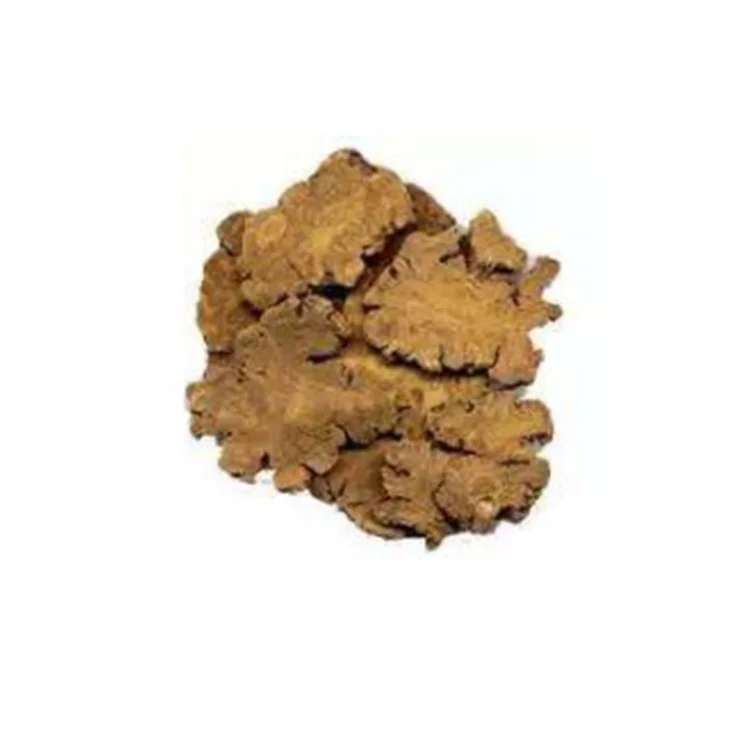 High Quality Natural Ligusticum/Chuan Xiong Extract Powder in Bulk