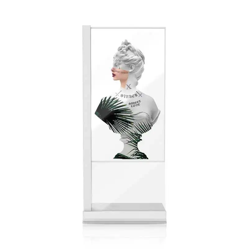 AMOLED LCD Panel 55 inch transparent oled screen for advertising window transparent display