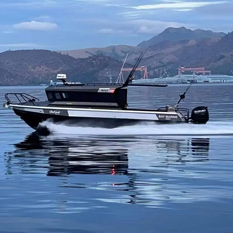 Sea King горячая Распродажа 30ft Морской CE Роскошная кабина яхта моторная алюминиевая рыболовная лодка с понтонным корпусом
