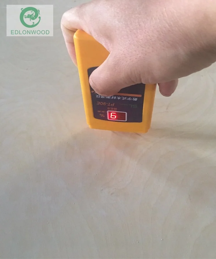 1200x2400mm cheap price Hot selling Natural Birch Okoume Bintangor Veneered Commercial Furniture Plywood