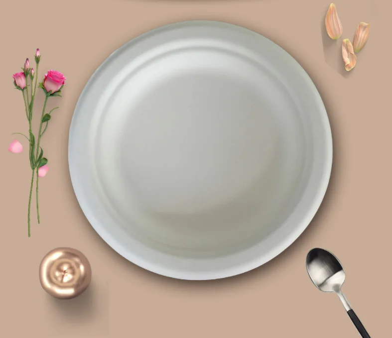 Sustainable eco-friendly biodegradable sustainable sugarcane bagasse pulp round dish paper plate