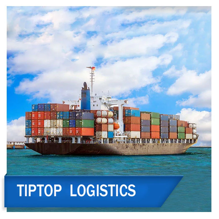 International Air / Sea / Express Freight Forwarder From China To Germany / Italy / France / Netherlands / Australia