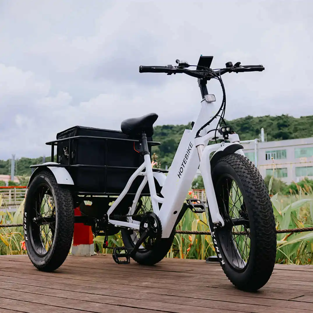 Tricycle electric 3 wheel electric tricycle motorcycle 500w 3 wheels electric bike with roof electric tricycle for sale