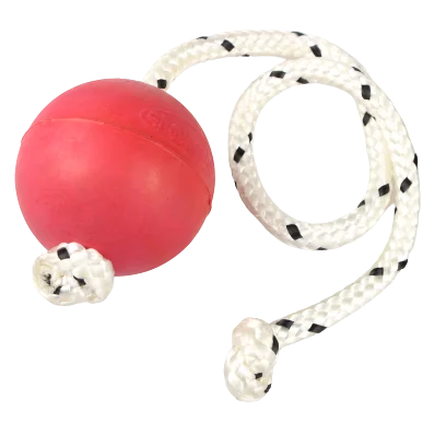 
Exquisite Structure Manufacturing Durable Solid Dog Training Ball On A Rope 