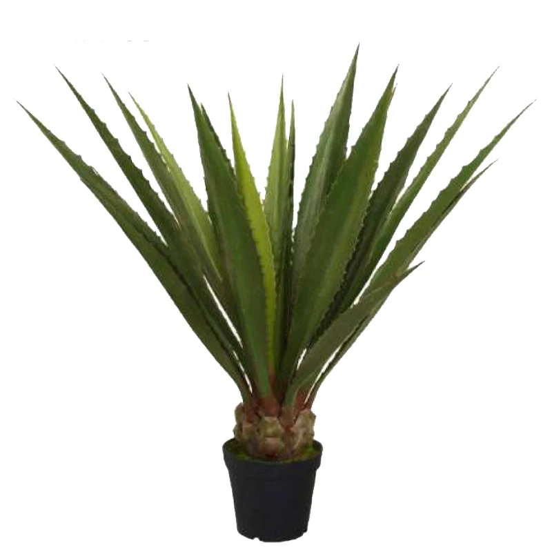 Распродажа дешевые растения в горшках Sansevieria trifasciata для домашнего декора бонсай искусственная змея