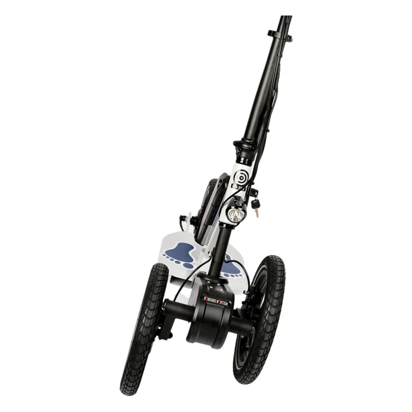 Aluminum body electric scooter 36V 250W electric scooter tricycle electric Powerful Adult Electric Scooter