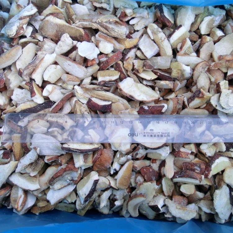 
Factory direct sale natural mushroom boletus frozen boletus 