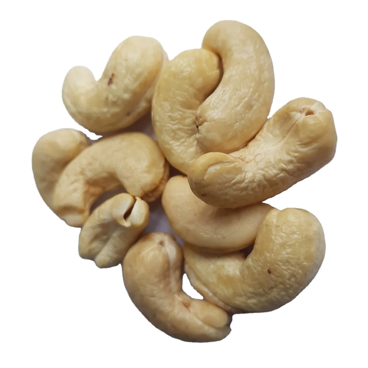
[W240] Cashew Nut Of The Day Made in Vietnam 