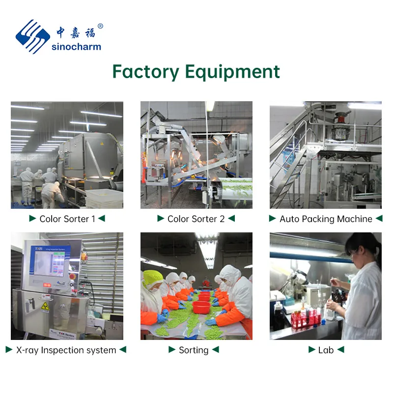 Sincoharm OEM HACCP Fresh Vegetables Wholesale Price Bulk Frozen Onion Cut 10mm IQF Onion Dice for Sale