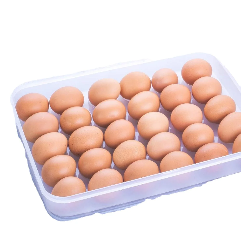 Пластиковый прозрачный портативный лоток для яиц с крышками