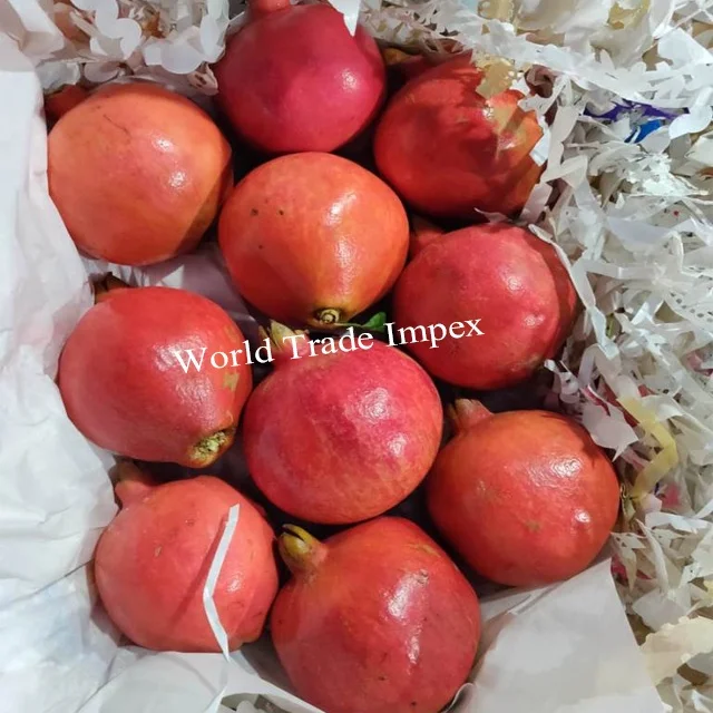 
Best quality fresh indian pomegranate 