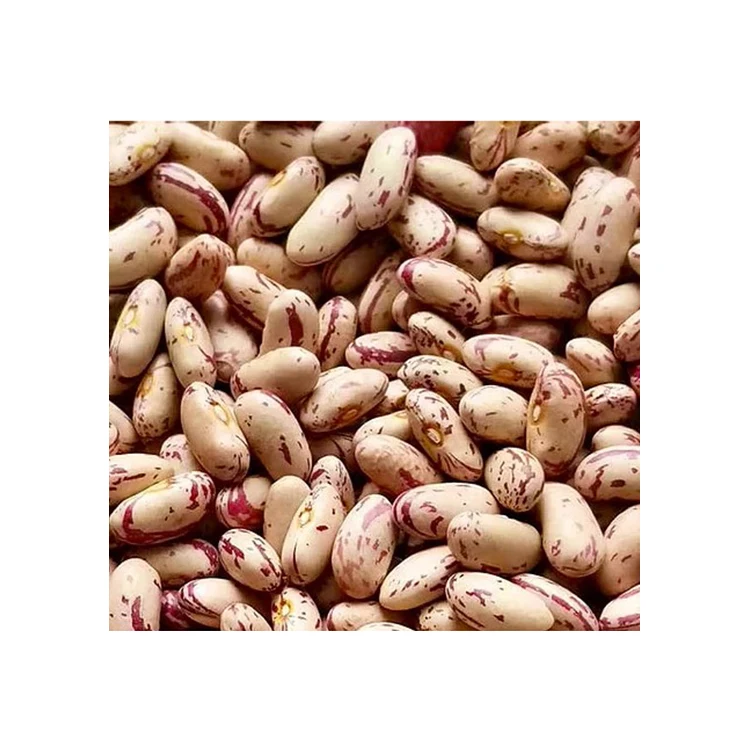 
Organic Pinto Beans Sugar Beans Light Speckled Kidney Beans 
