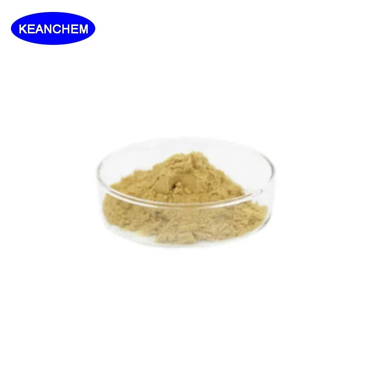 Hot Selling Pea Protein Powder hydrolyzed Enhancers CAS 222400-29-5