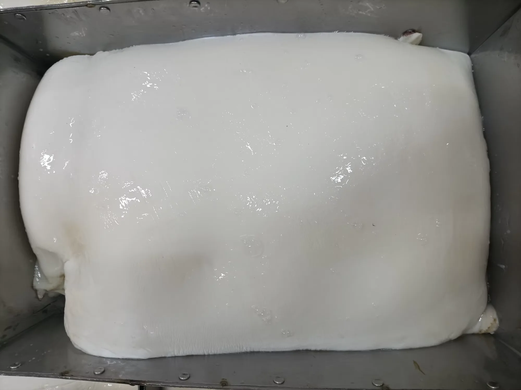 N-65 skin off squid fillets 2023 new season frozen Peruvian squid meat 1-2kg/pcs, 2-4kg/pcs