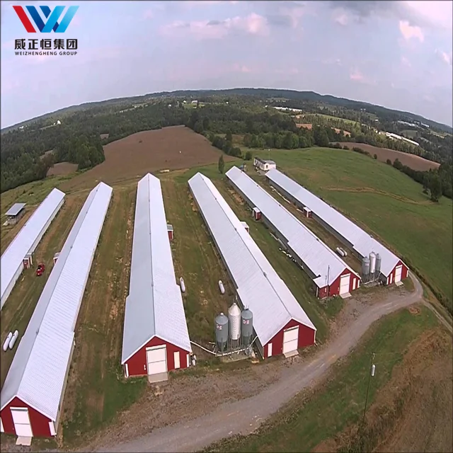 Дешевая Строительная стальная конструкция сарай птицефабрика Курятник для продажи индивидуальный дизайн