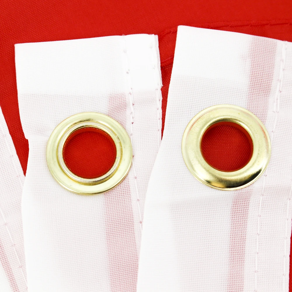 Ready to Ship 100% Polyester 3x5ft Stock DNK DK Red White Cross Danmark Denmark Flag