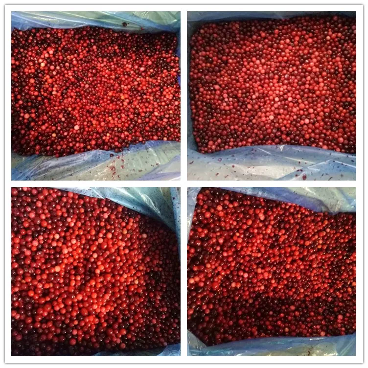 Hot Sell IQF  Frozen Lingonberry Price in Bulk IQF Frozen Fruits