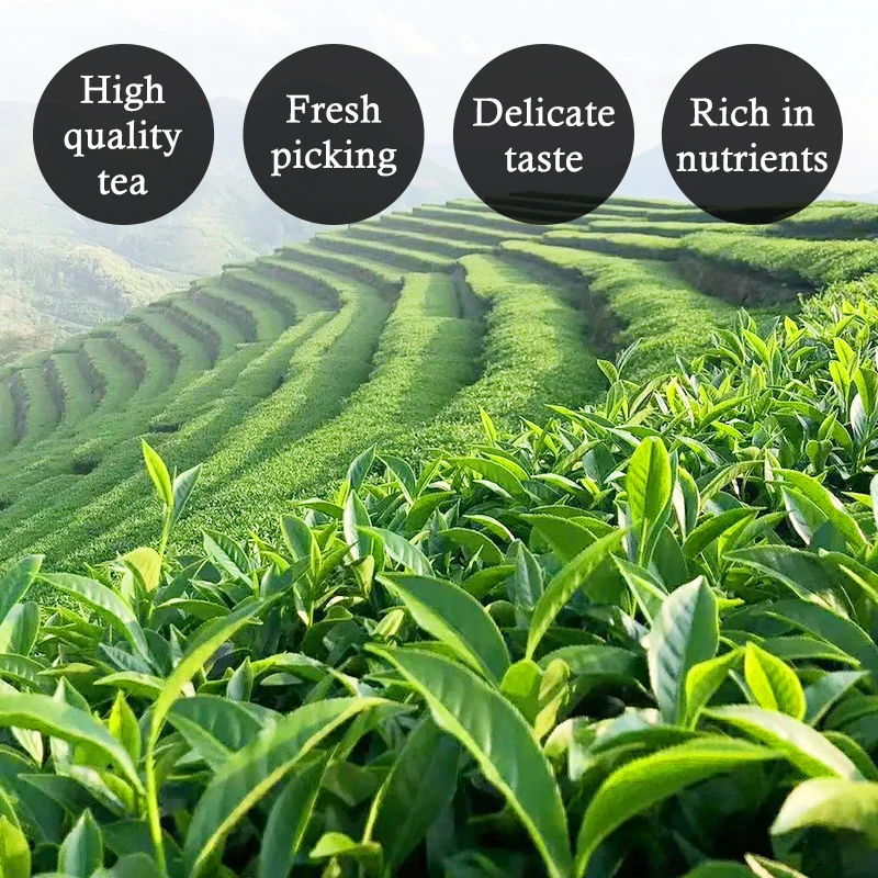 Private Brand Customized Ceremony Organic High Grade Matcha Flavor Green Tea Bagged Ceremonial Matcha Powder