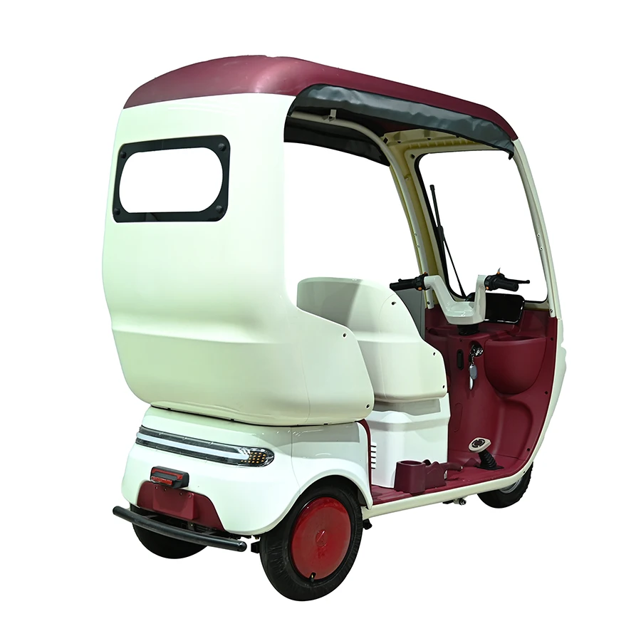 Adjustable 60/72V 800W Electric Tricycle for Small Households 2-Seater with Customizable Options