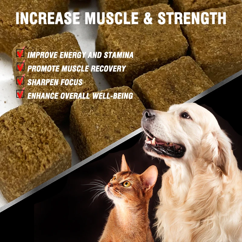 OEM ODM Dog Muscle Builder Bully Max All in One High Protein Muscle Gainer Dog Training Supplement