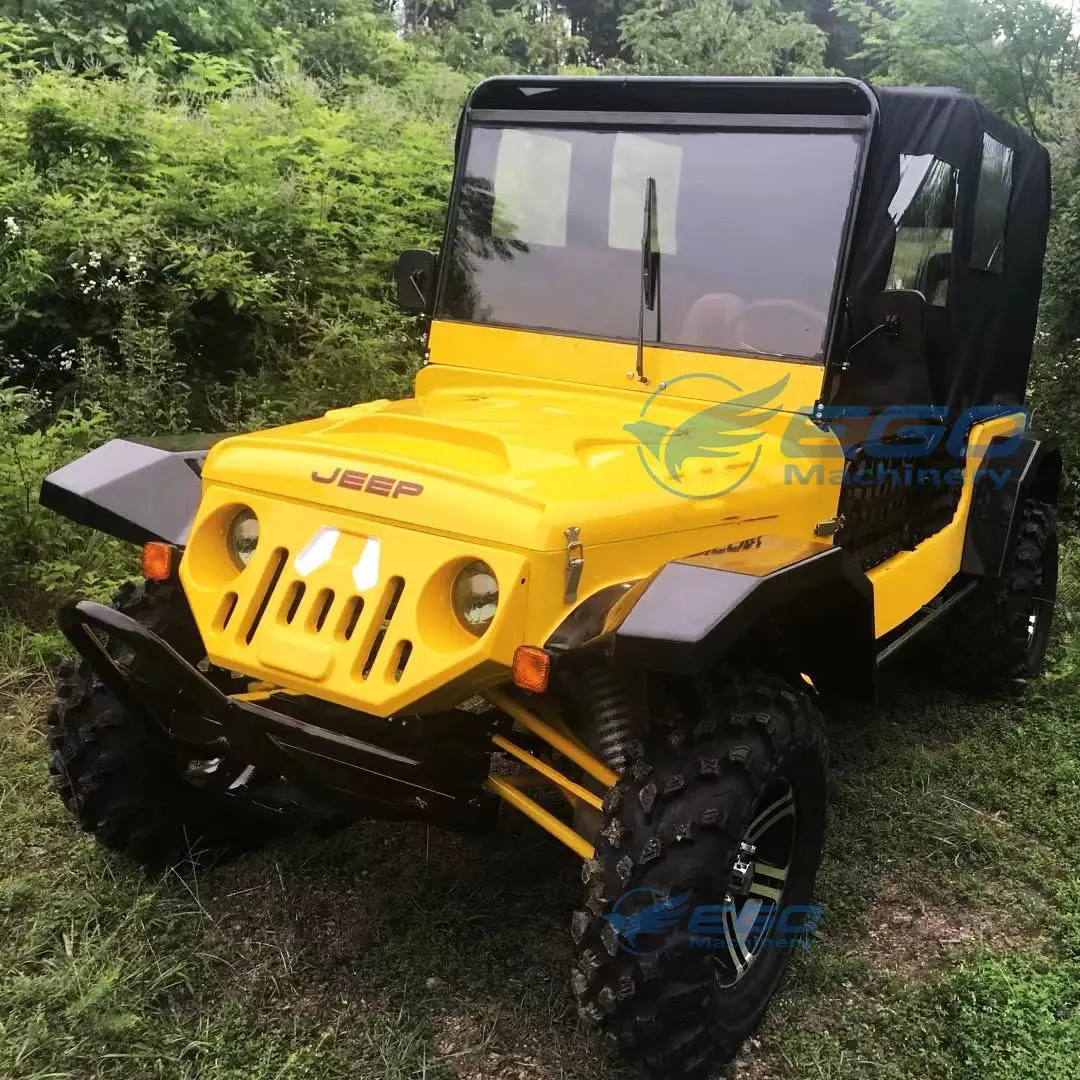 Buggy Go Karts for Kids 2 Seater 2024 New Design Motor Battery Electric Karting Car Children Go Kart Amusement Park Equipment