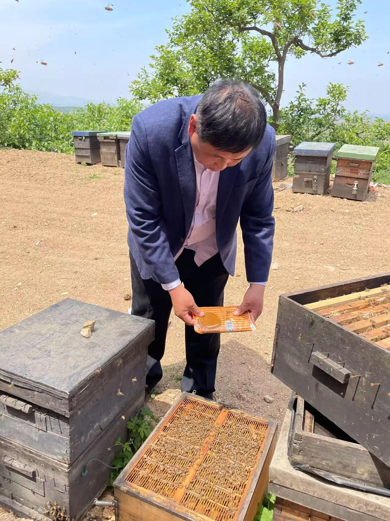 Высококачественный пчелиный корм премиум-класса с натуральным заменителем пыльцы производство из Китая