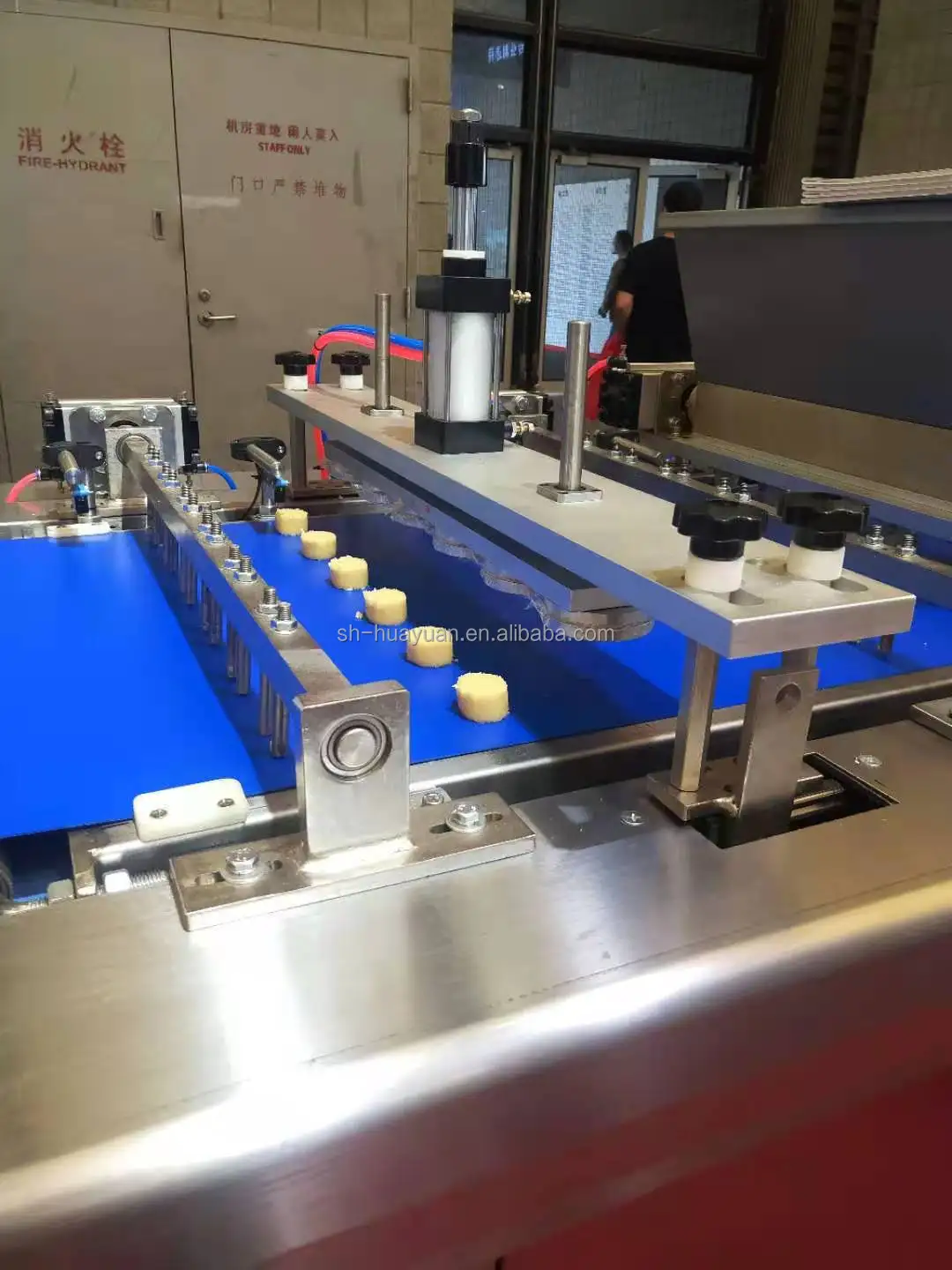 HYZDGJ-600 Industrial Processing Chocolate /Walnut/Cookies Machine Manufacturers