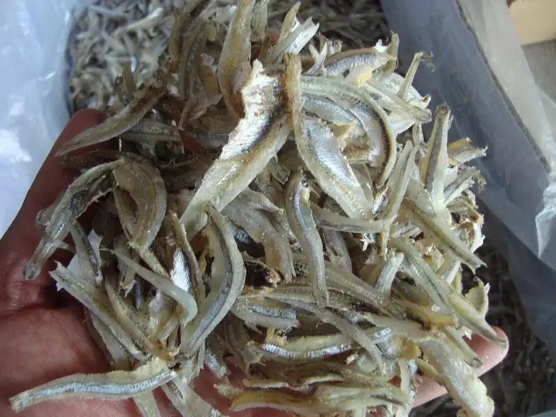 Vietnam Dry Anchovy fish anchois Whole, Headless, Split Anchovy good price - WHATSAP: 0084 989 322 607