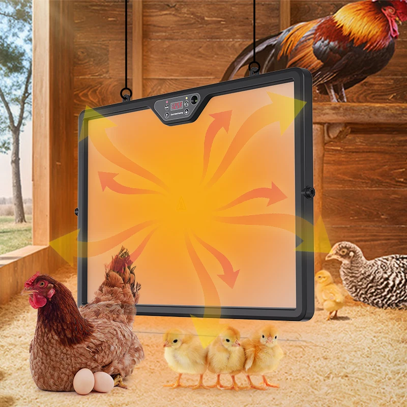 Factory Price Newest Adjustable Chick Brooder Dual Heating Plate for Newly Hatched Animals Anti-Roost Cone Heating Quickly