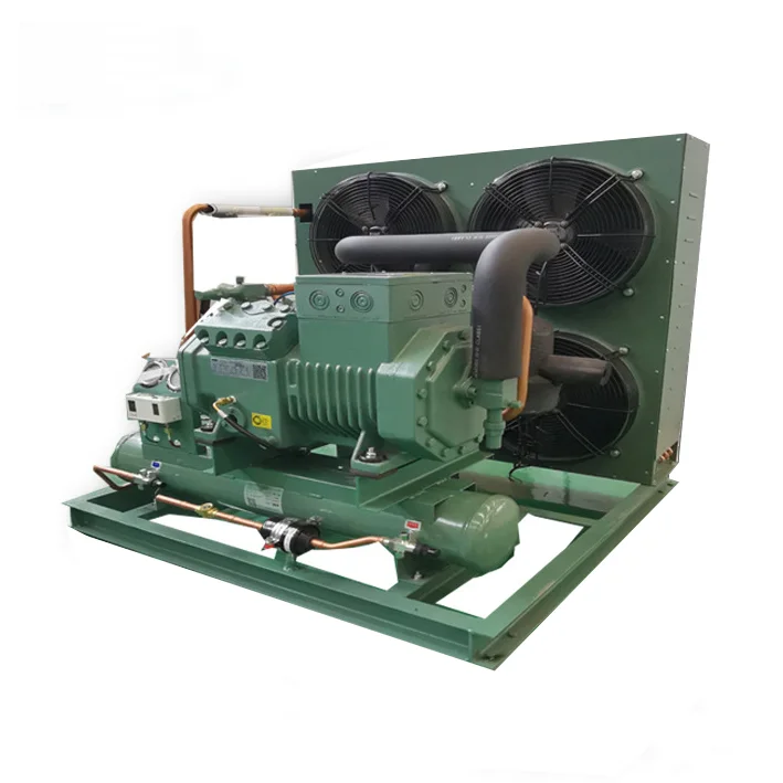 Customized high-efficiency piston refrigeration compressor cold chamber condensing unit