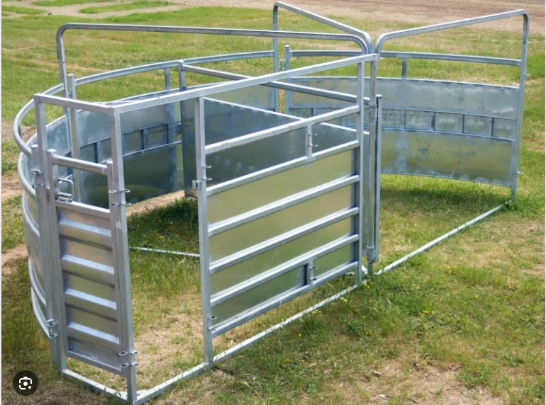 Livestock Equipment Cattle Farm Force Yard