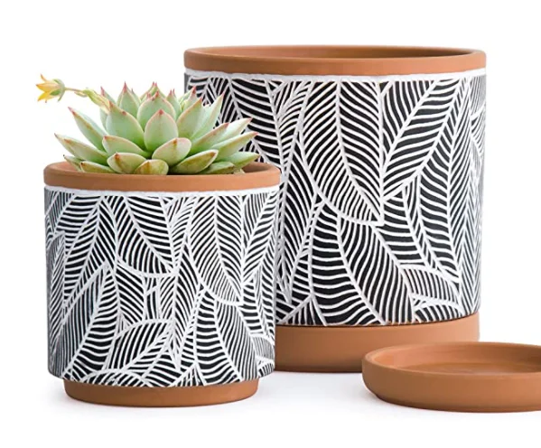Terracotta Pots  Leaves Pattern Planter Pot