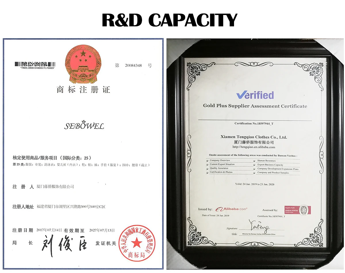 Sexy Long Sleeve Mesh Unlined Mock Neck Bodysuit