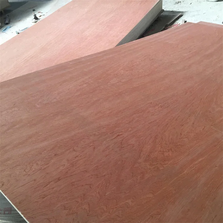 Linyi Manufacturer Wholesale 18 Mm Hardwood Laminated Bintangor Plywood For Furniture door wooden