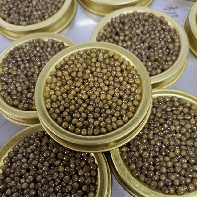 Золотая Икра осетровая стандартная 500 г Икра белуги осетровая икра в банке