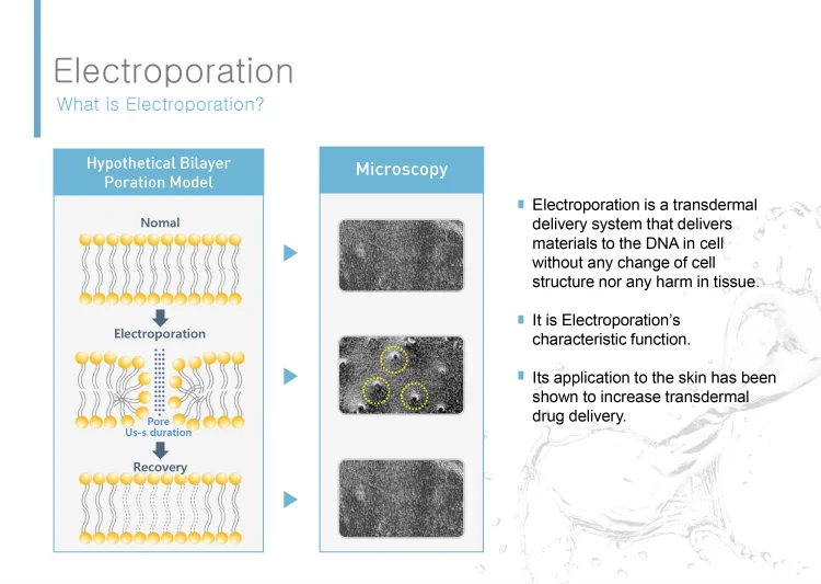 Мезотерапия аппарат для лица D cool cryo-electroporation ems 2 в 1 тонизирования кожи лифтинга холодная/горячая терапия