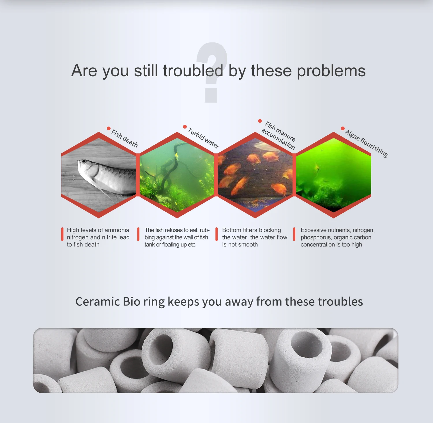 Aquarium Premier Bulk Bio Ceramic Rings Filter Media for Fresh Water, Sea Water Fish Tank Canister Filter, Reef Filter