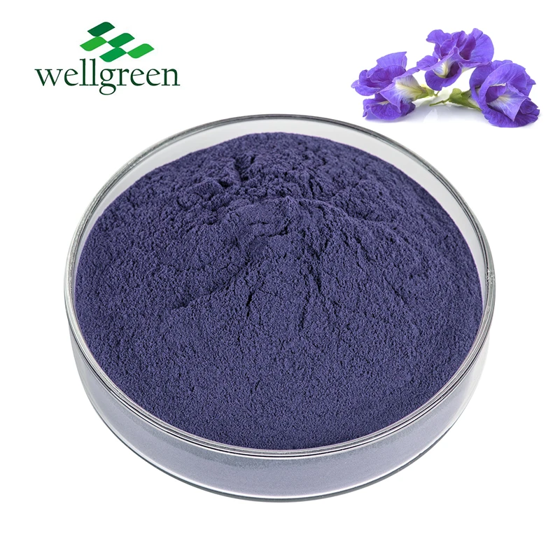 Wellgreen Bulk Food Additive Colouring Blue Butterfly Pea Flower Extract Pudding Powder