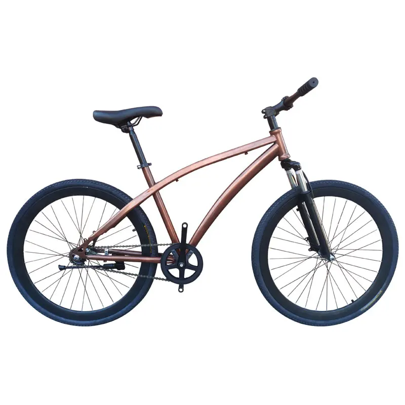 Goog quality Shock Absorbing Reverse Brake  fixed Gear Bicycle Cross country Vehicle  Retro  style other bike