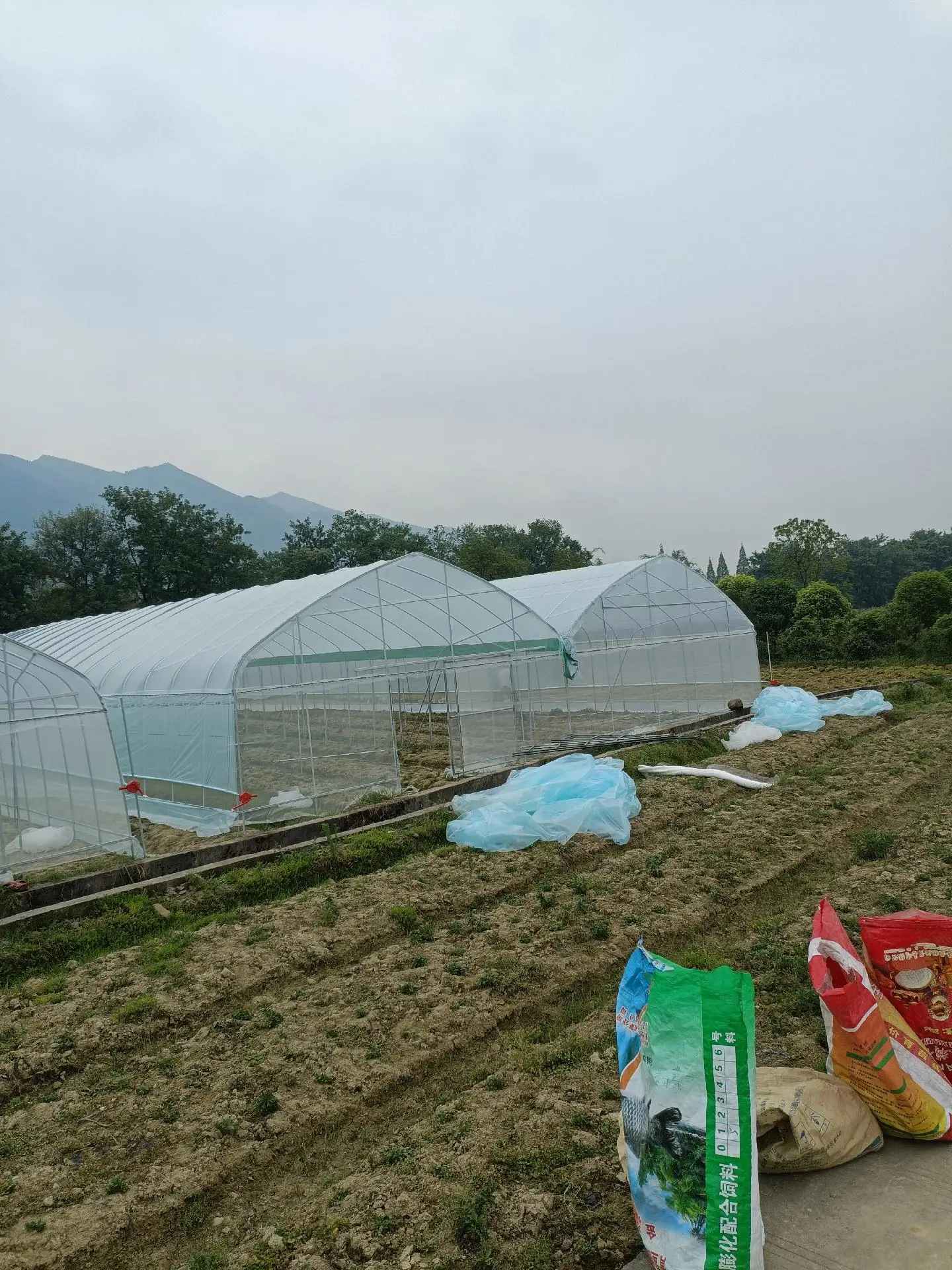 High Quality Custom Size Arched Shed Round Arch Single Shed Plant Growing Greenhouse