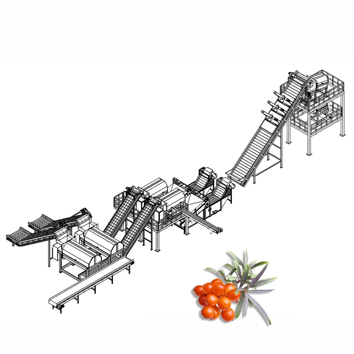 Fruit juice production line industrial seabuckthorn processing equipment