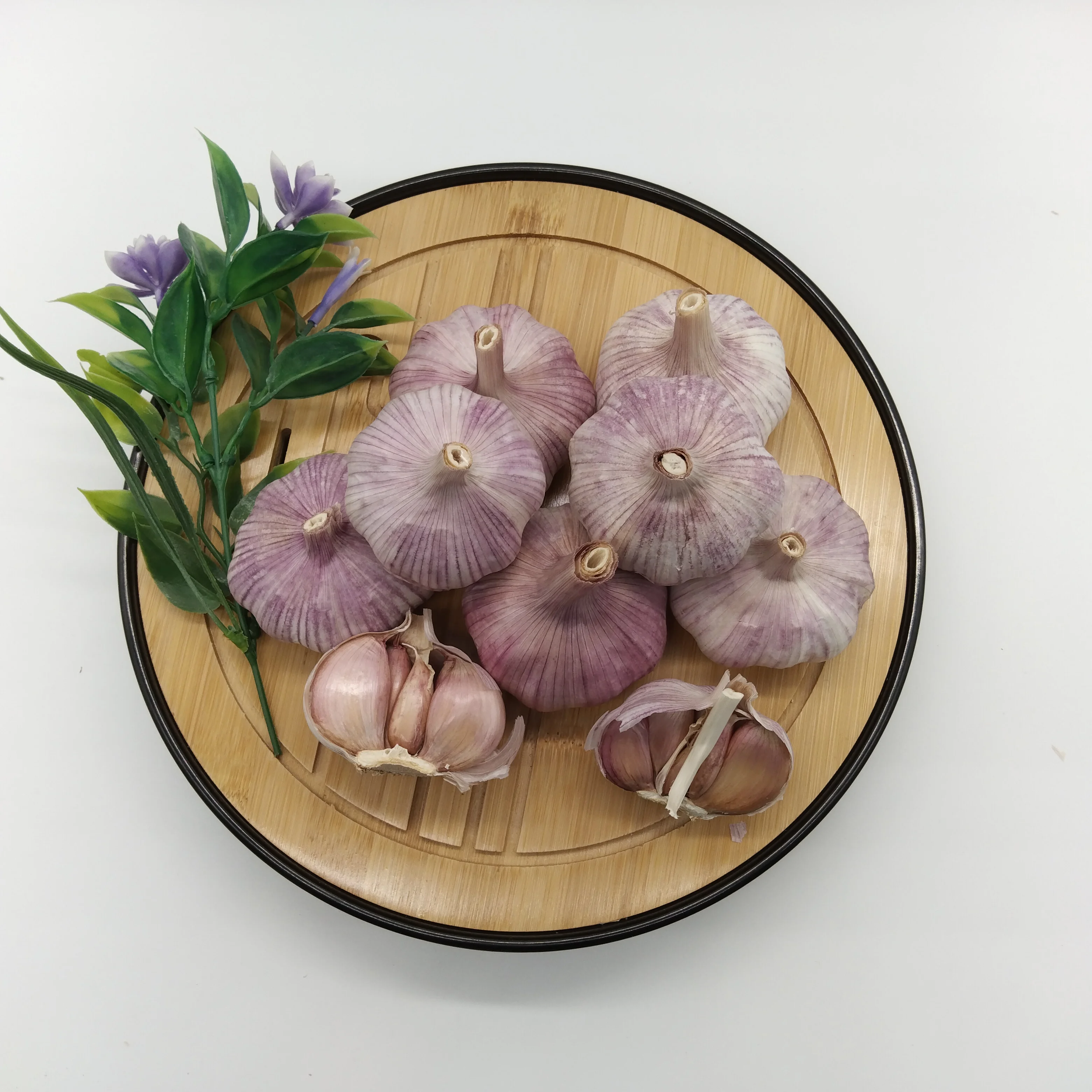 Jin Xiang Mesh Bag Packing Chinese Normal White Fresh Garlic in 10kg Crop Shandong Size Product