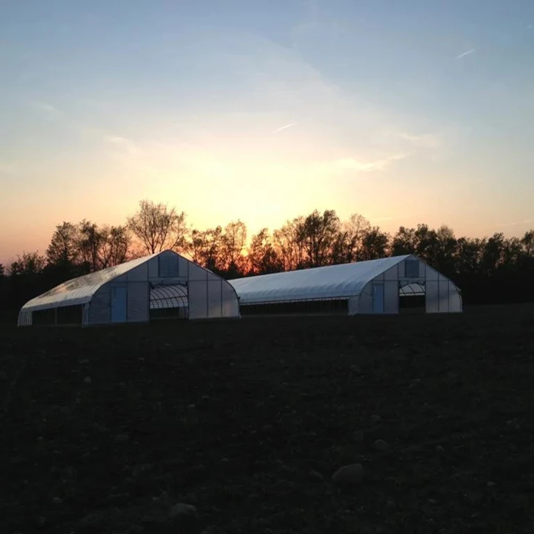 Skyplant Tropitcial roll up vent high tunnel plastic polythene greenhouses for sale