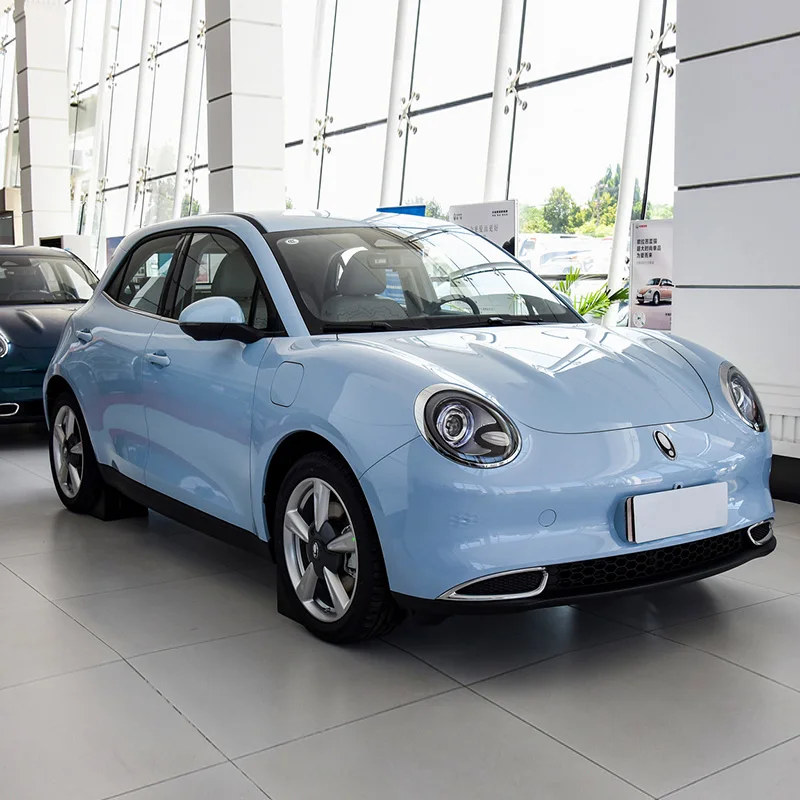 2024 TOPSUN Mini Electric Car Good Cat 401 Kilometers Euler Haomao Ora Ola Series New Energy Vehicle