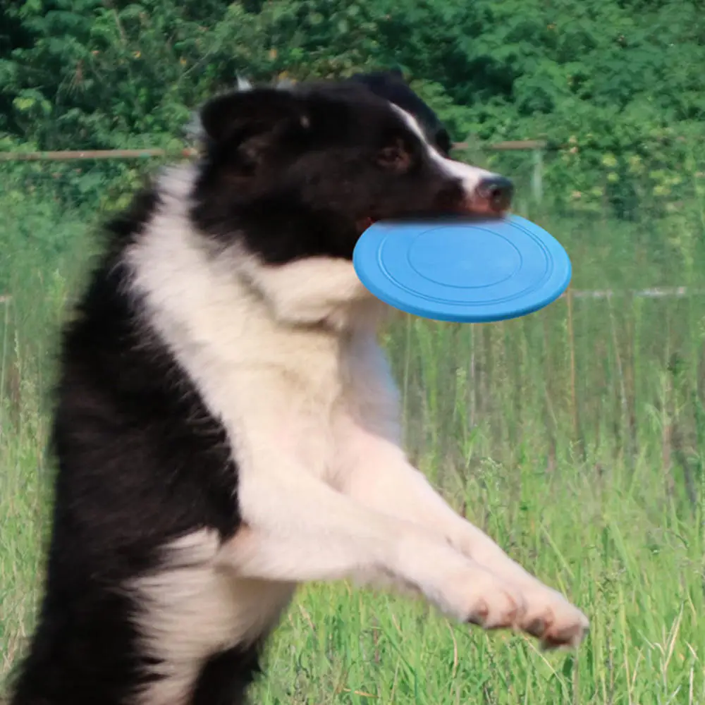 SinSky Dog Frisbeed Custom Logo High Flying Aerodynamic Disc Dogs Puppy Lightweight Floatable Frisbeed