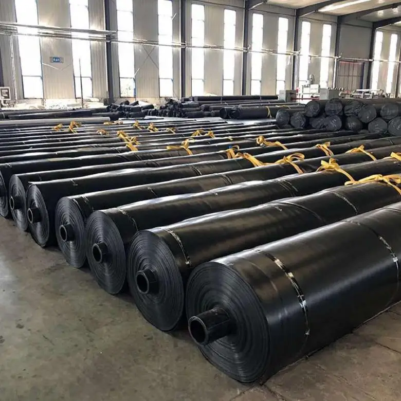0.5mm 1mm 2mm HDPE/LDPE/EPDM/PVC/Tpo Geomembrane Fish Pond Liner