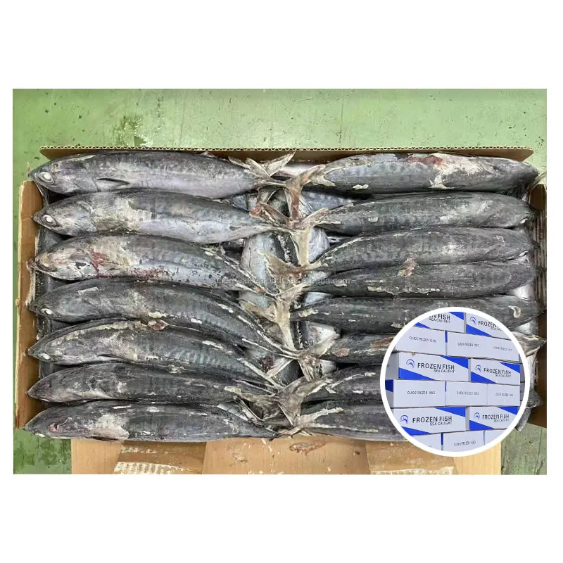 Питательная длительная морская еда, замороженные хлопья Бонито, полосатый тунец для рыбалки, морепродукты