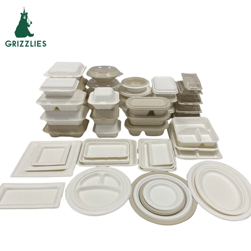 Eco-friendly Rectangle Sugarcane 100% Biodegradable Bagasse Food Tray Disposable